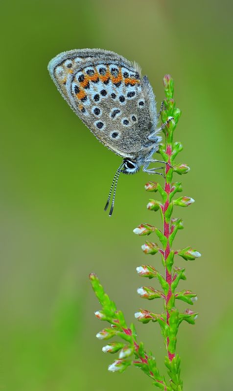 На вершине :) фото превью