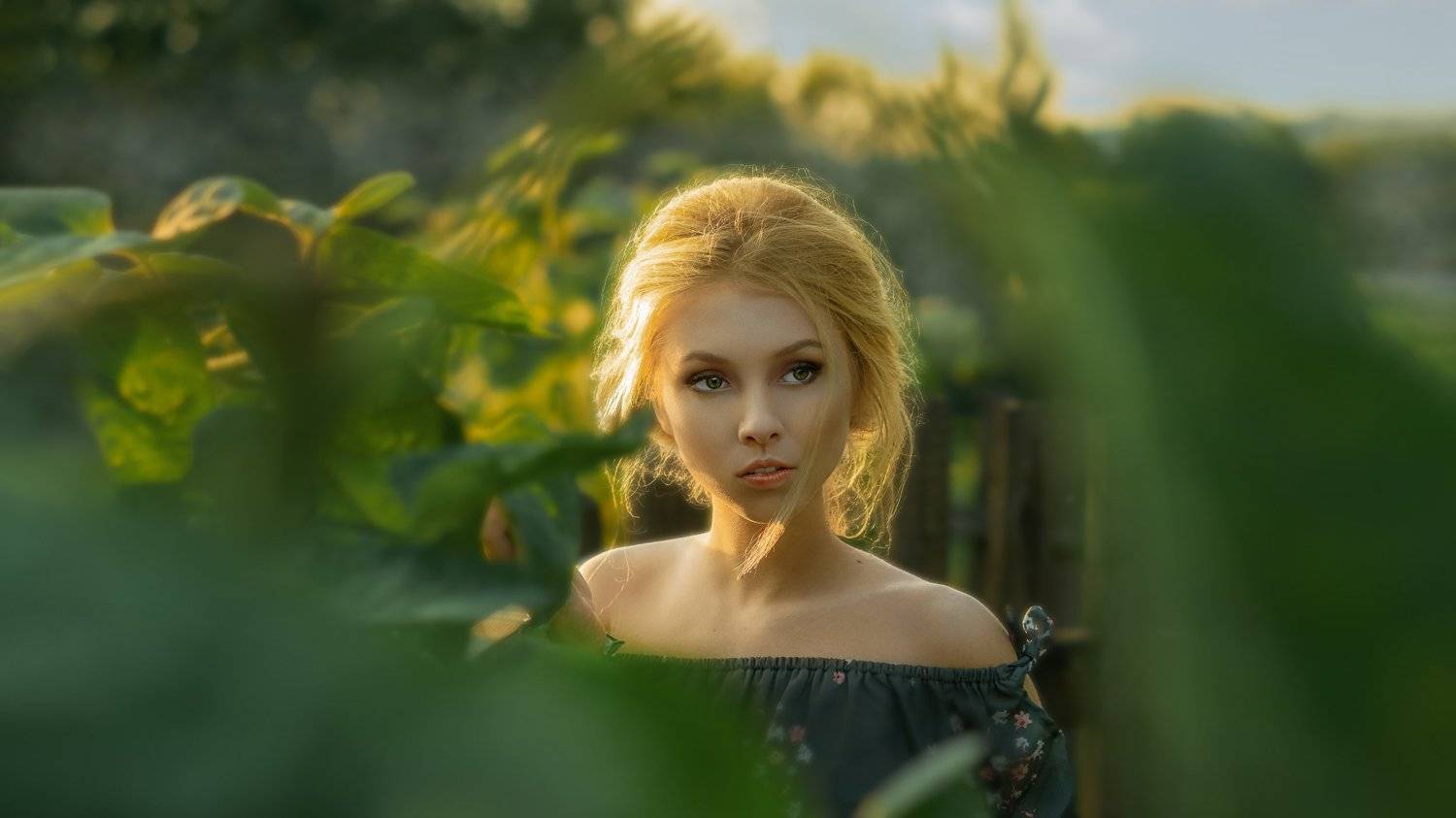 , Юрий Захаров