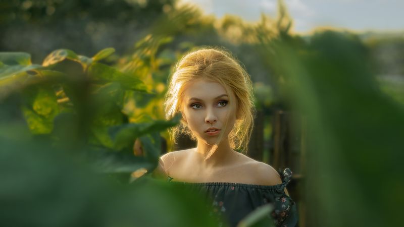 Alice фото превью