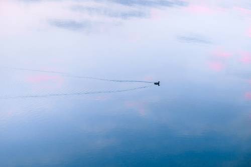 Блаженство незатронутости