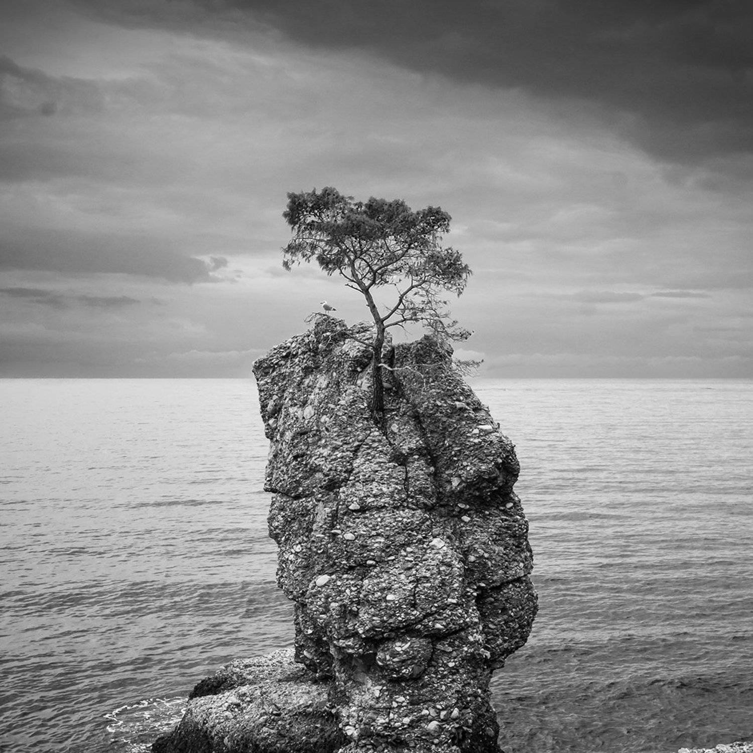 , Владислав