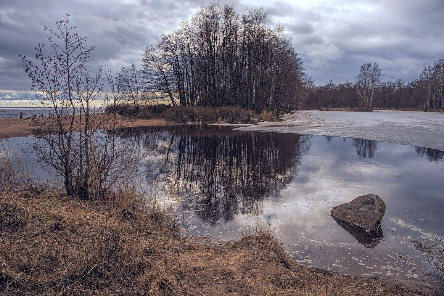 сестрорецк,парк дубки,весна, alexOmRam