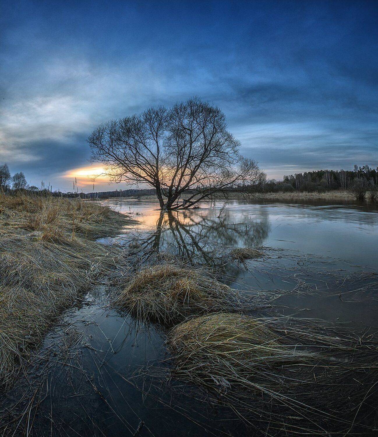 , Николай Андреев