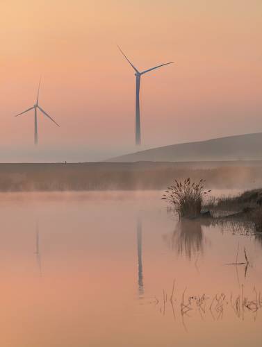 Голландский мотив