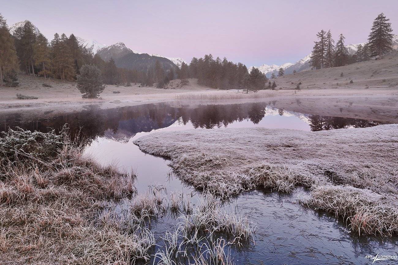 swiss, Матвеев Николай