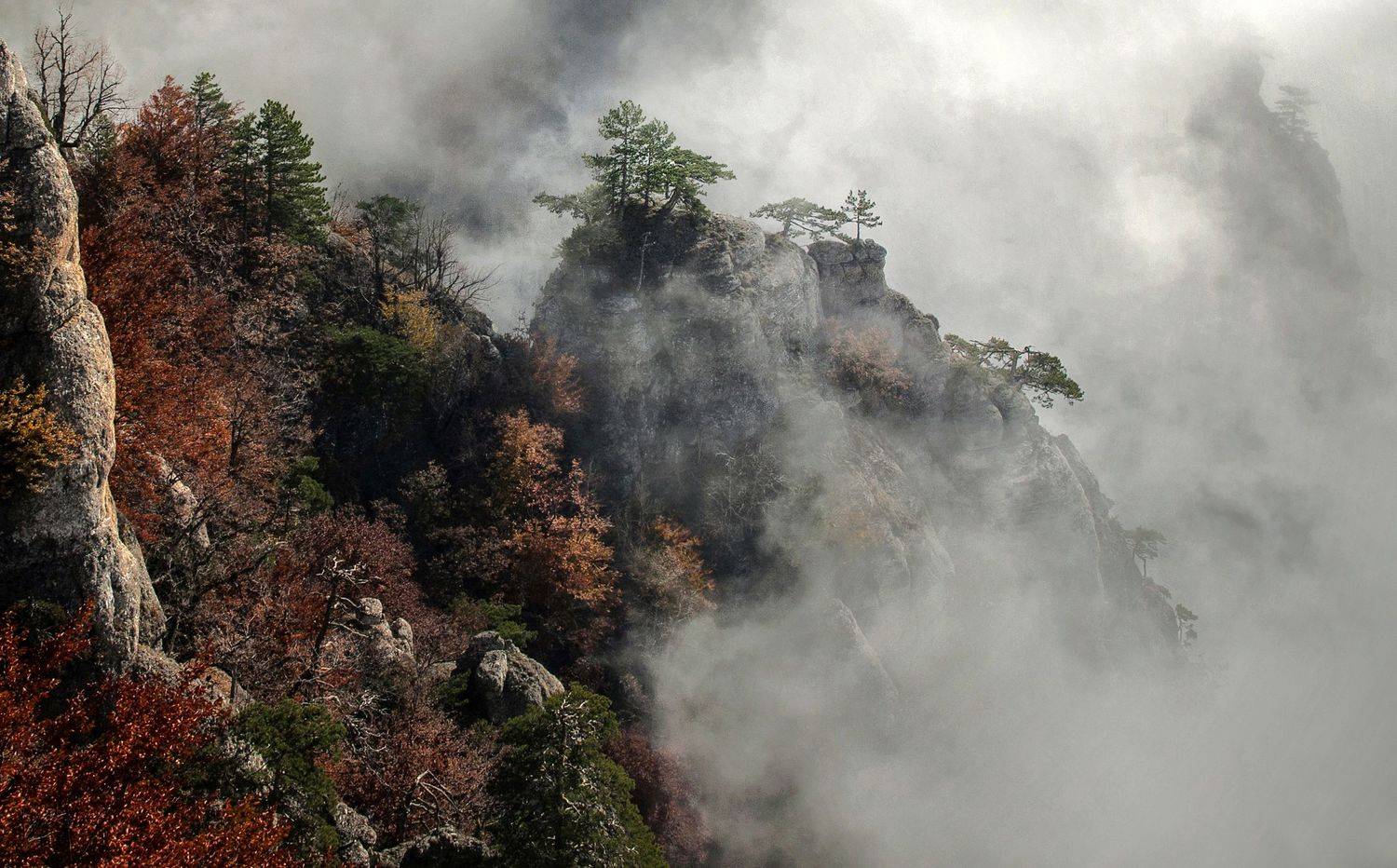 , Милокост Алексей