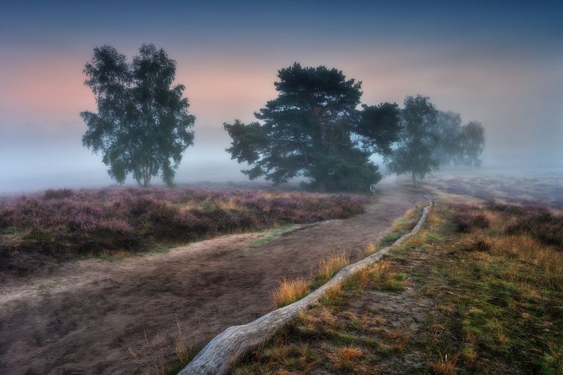 Autumn Landscape II фото превью