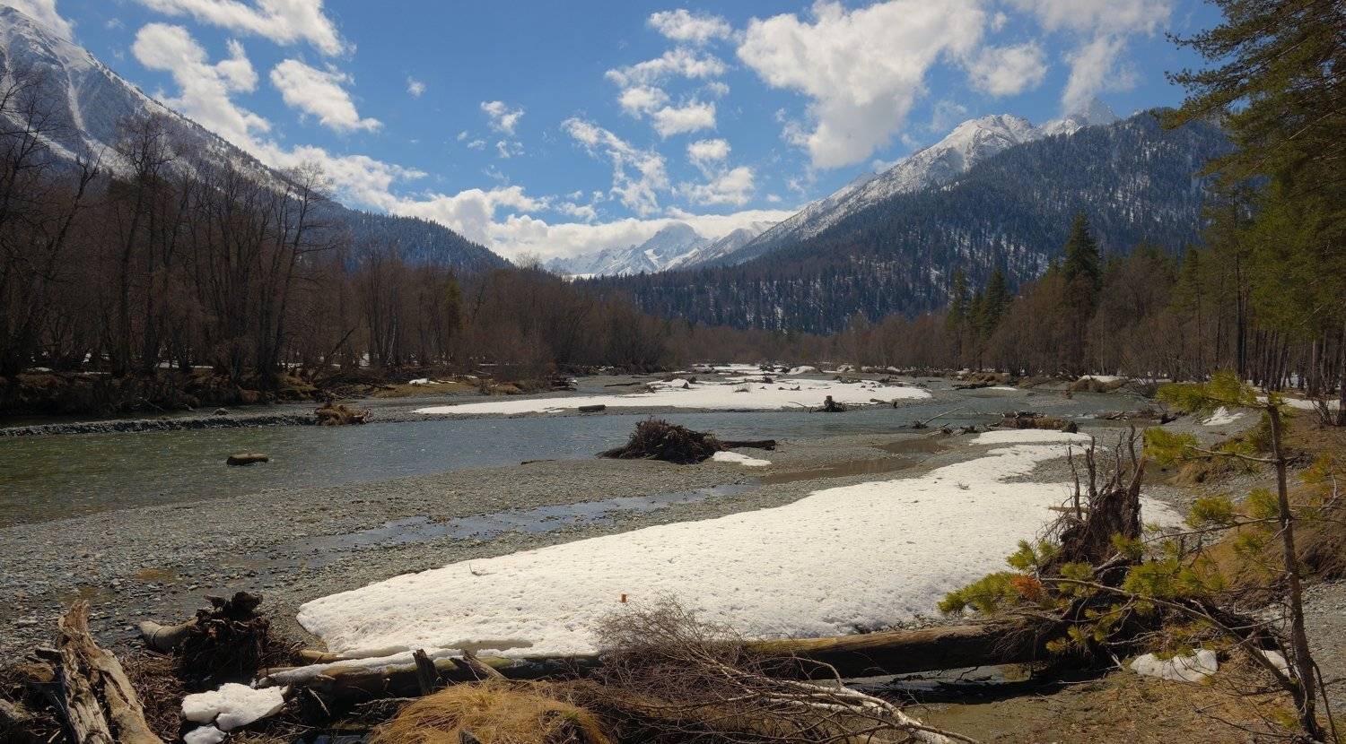 весна вода лес горы, Александр Жарников