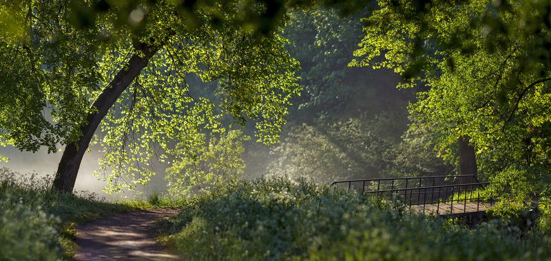 питер, пейзаж, мариентальскийпарк, мариенталь,  павловск, рассвет, царскоесело, царское, landscape, tsarskoyeselo, городской пейзаж, санкт-петербург В начале лета) фото превью