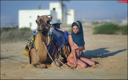 Titanic of the desert ©