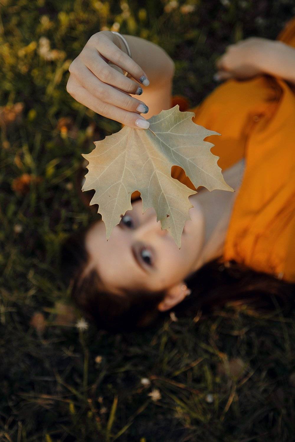 , Marie Dashkova