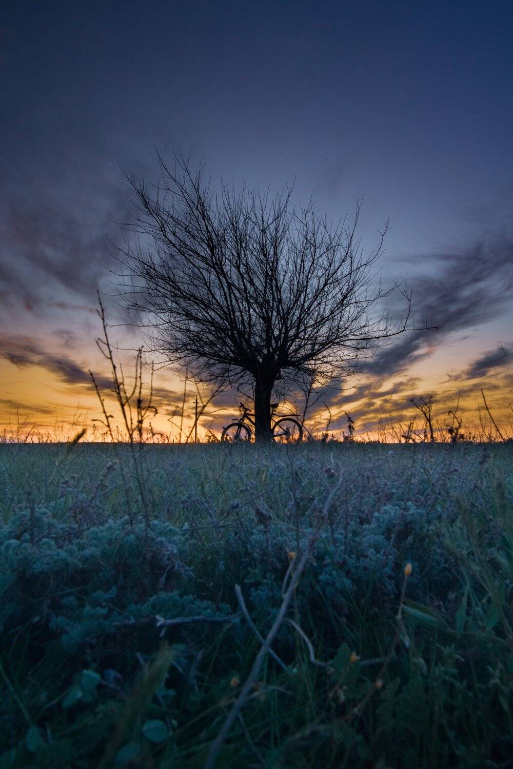 , Андрей Кривцов