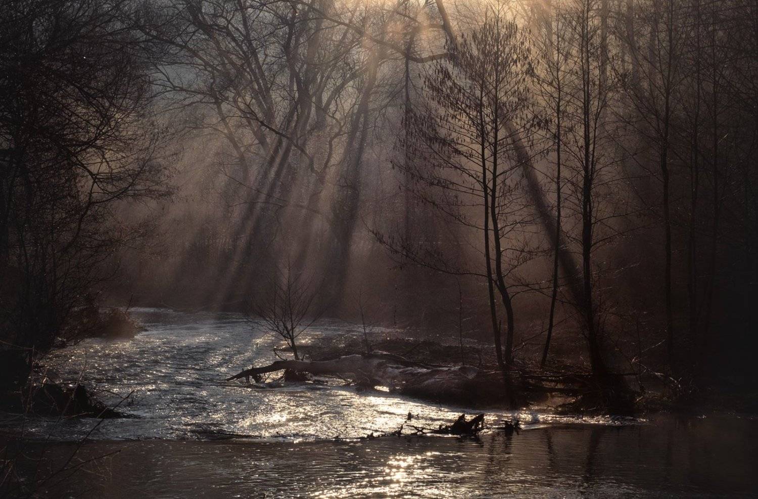 туман, свет, утро, природа, Баранов Олег