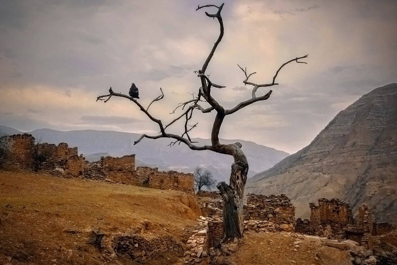 горы,аул,старый аул,хиндах,вершины,пейзаж,небо,деревья,дагестан,природа, Marat Magov