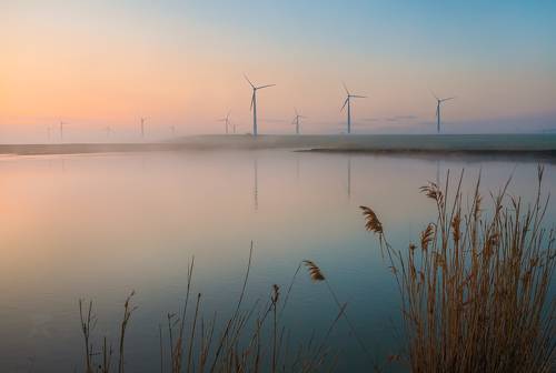 Рассвет в ветропарке