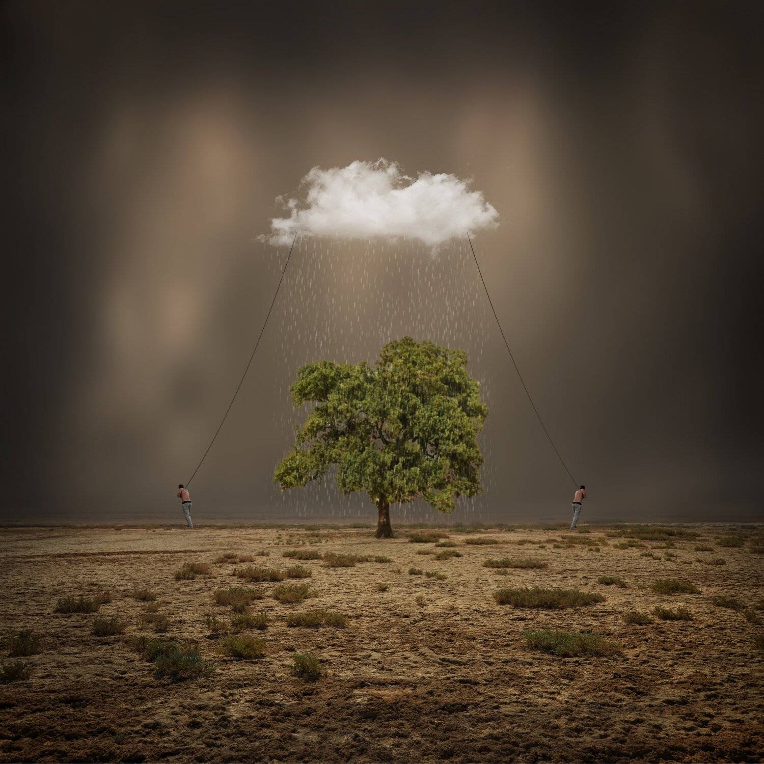 The Last Survining. Автор: Hossein Zare , Hossein Zare