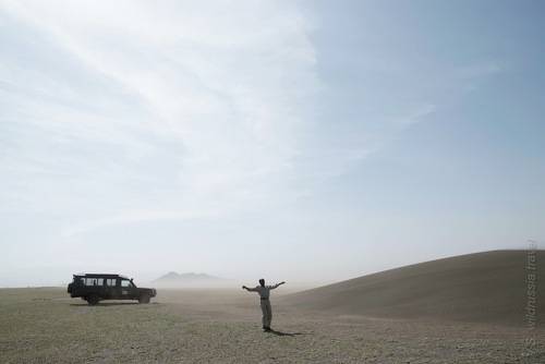 Ветер в Серенгети