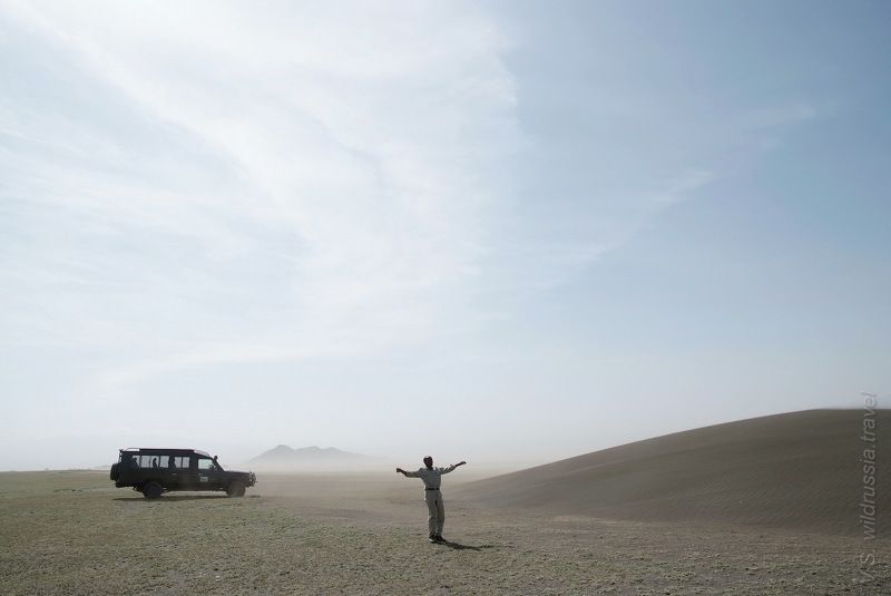 серенгети, африка, пустыня, дюна, песок, сафари, танзания, путешествие, приключение, шагнивнеизведанное Ветер в Серенгети фото превью