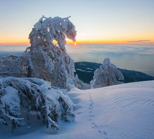 Зима на Ай-Петри