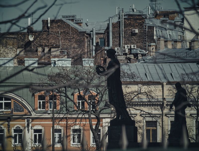 дерево, окна, силуэт, силуэты, скульптура, скульптуры силуэты фото превью