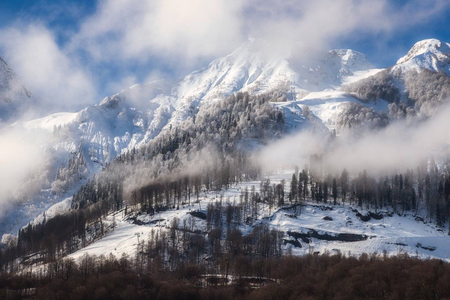 Красная поляна, Алексей Мараховец