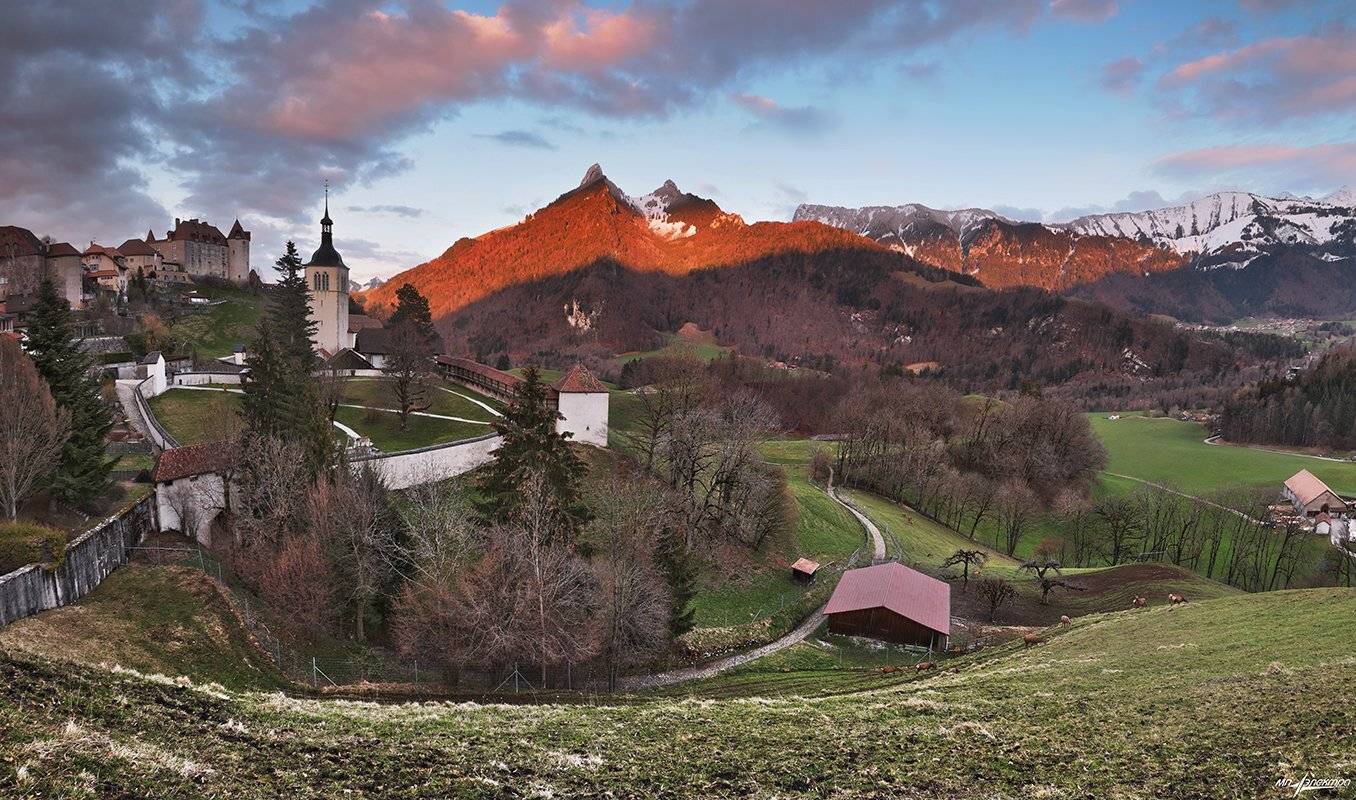 swiss, Матвеев Николай