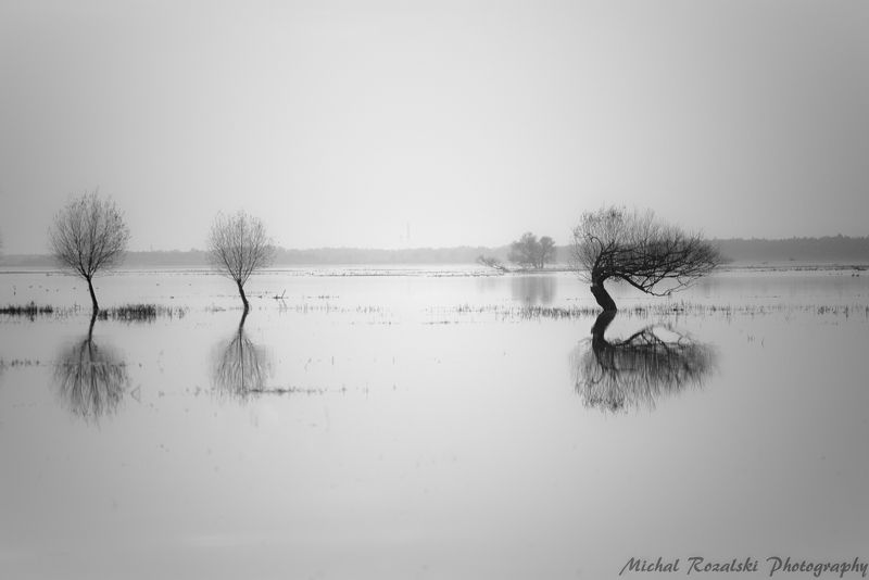 trees, ,water, ,lake, ,horizon, ,blackandwhite, ,landscapes, ,reflections, ,sky Waterworld фото превью