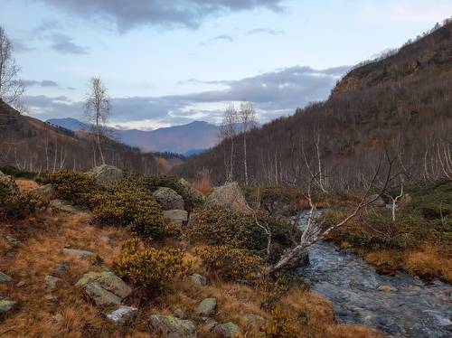 quiet autumn...