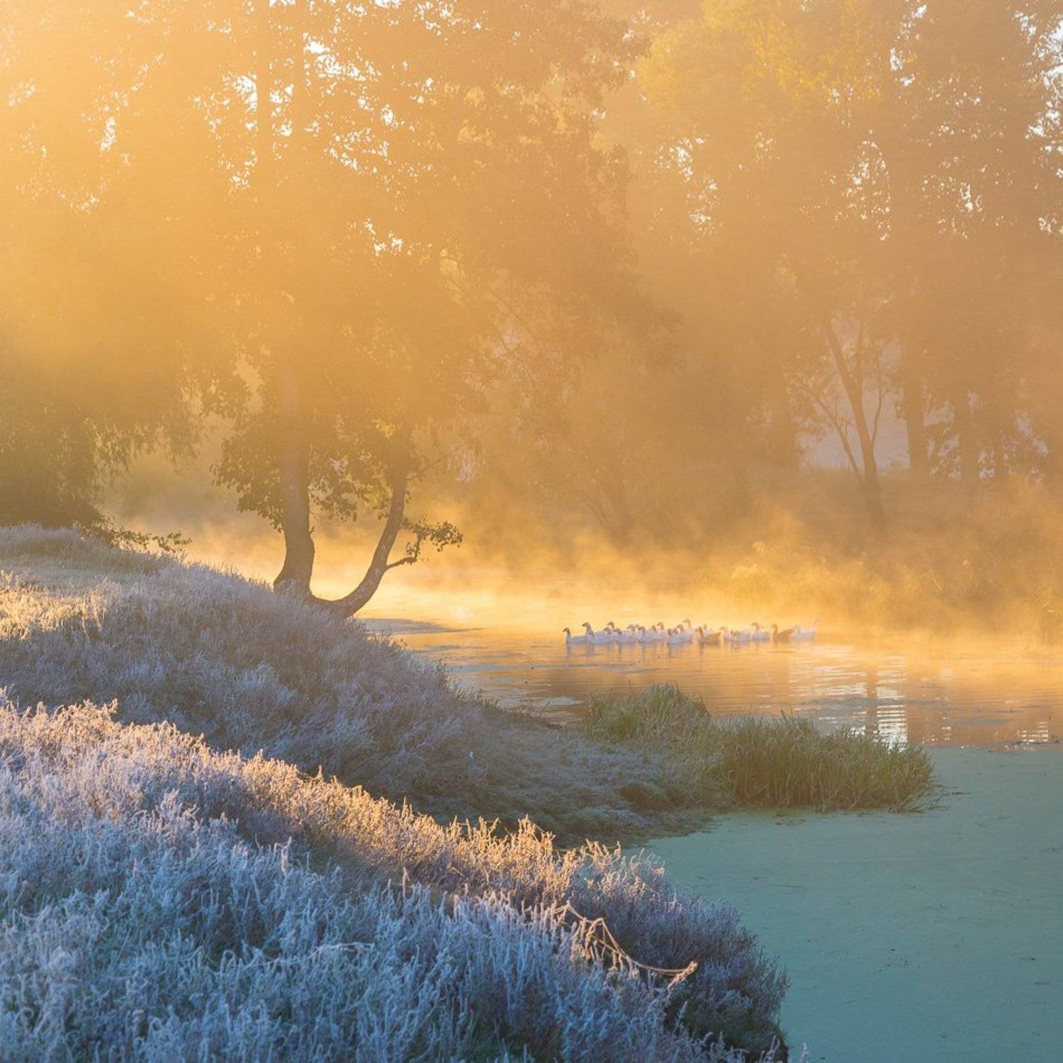, Александр Подрез
