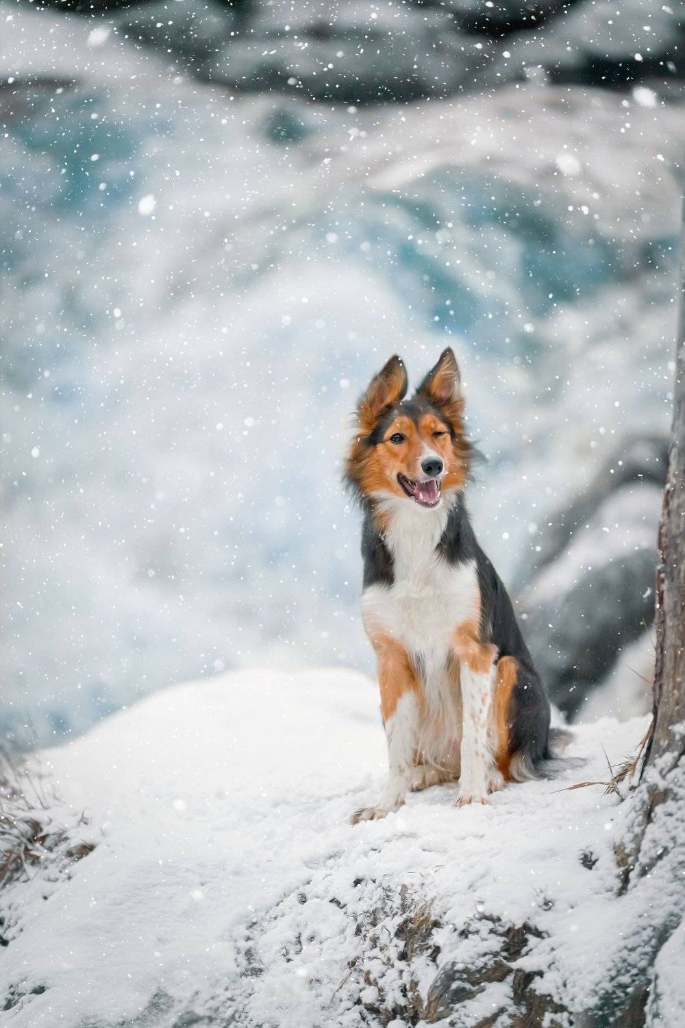 , Оксана Сироштан