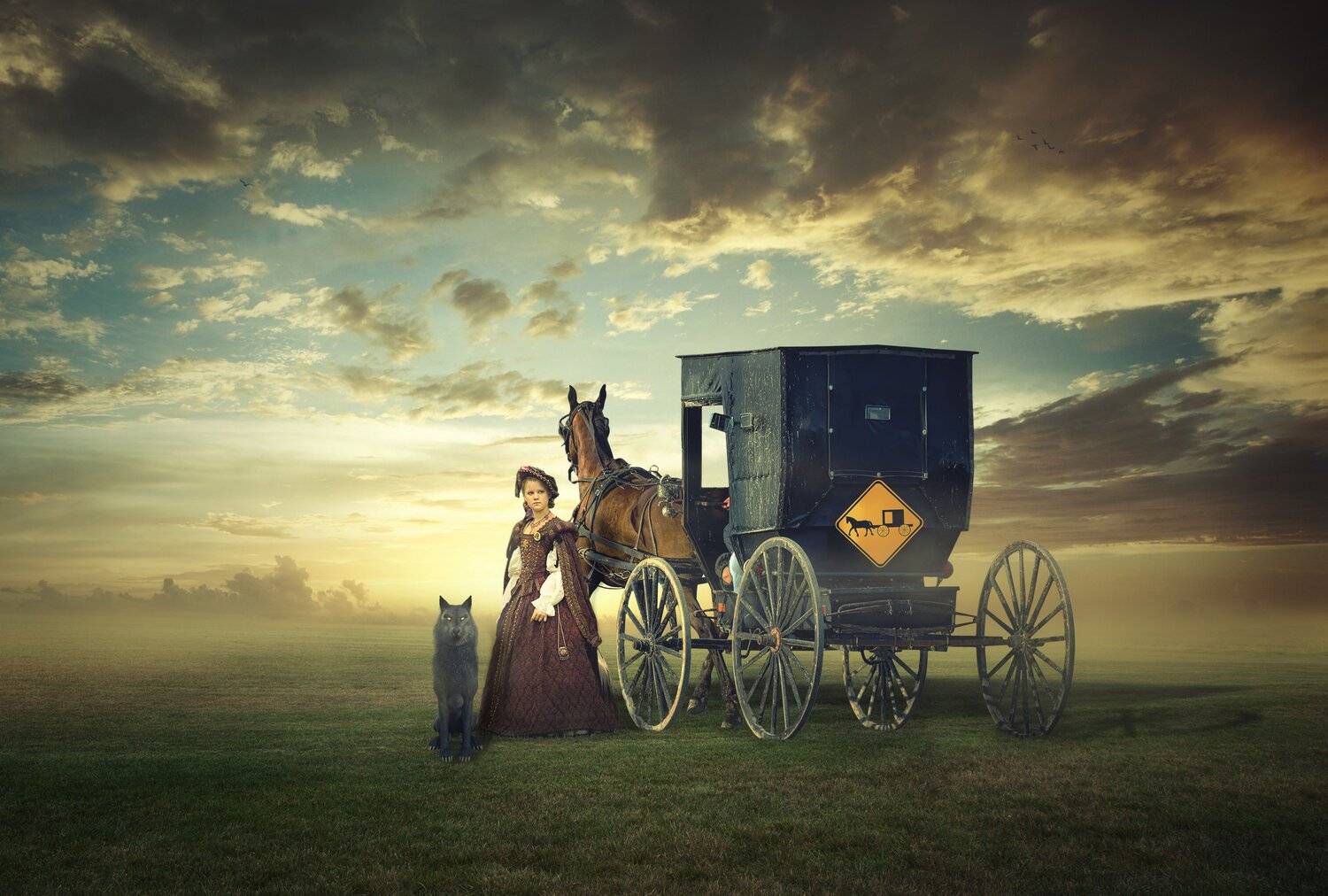 девушка, поле, карета, Sergii Vidov