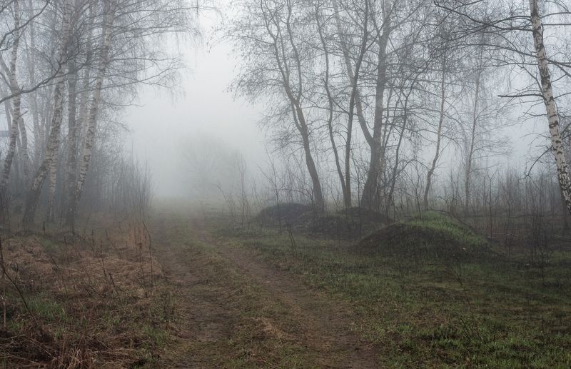 Туманное утро фото превью