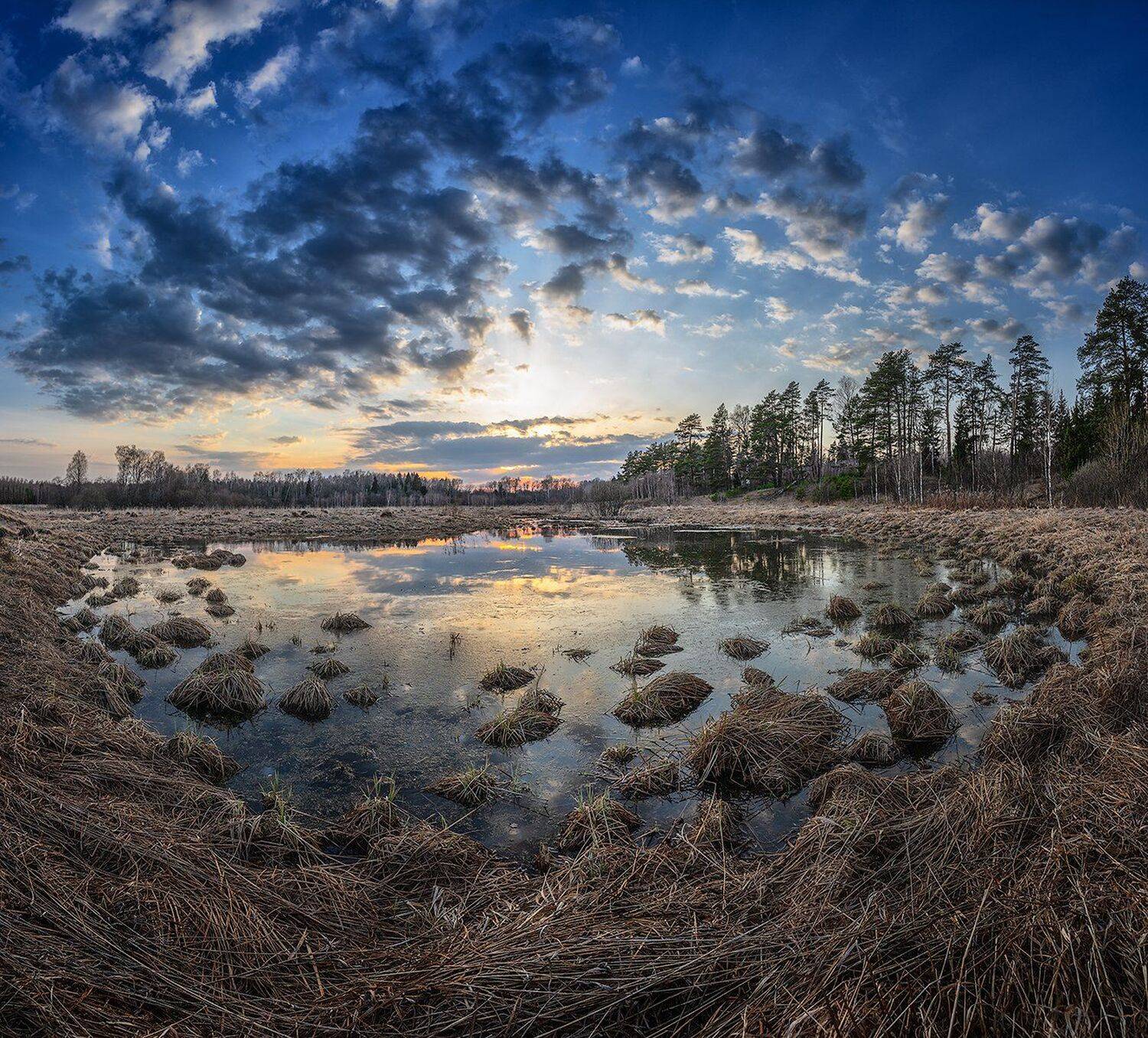 , Николай Андреев
