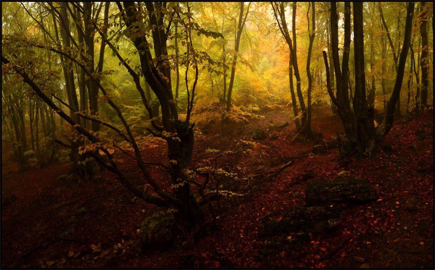 , Владимир Метцгер