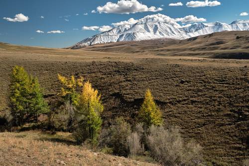 С видом на Монгун-Тайга. Тыва.