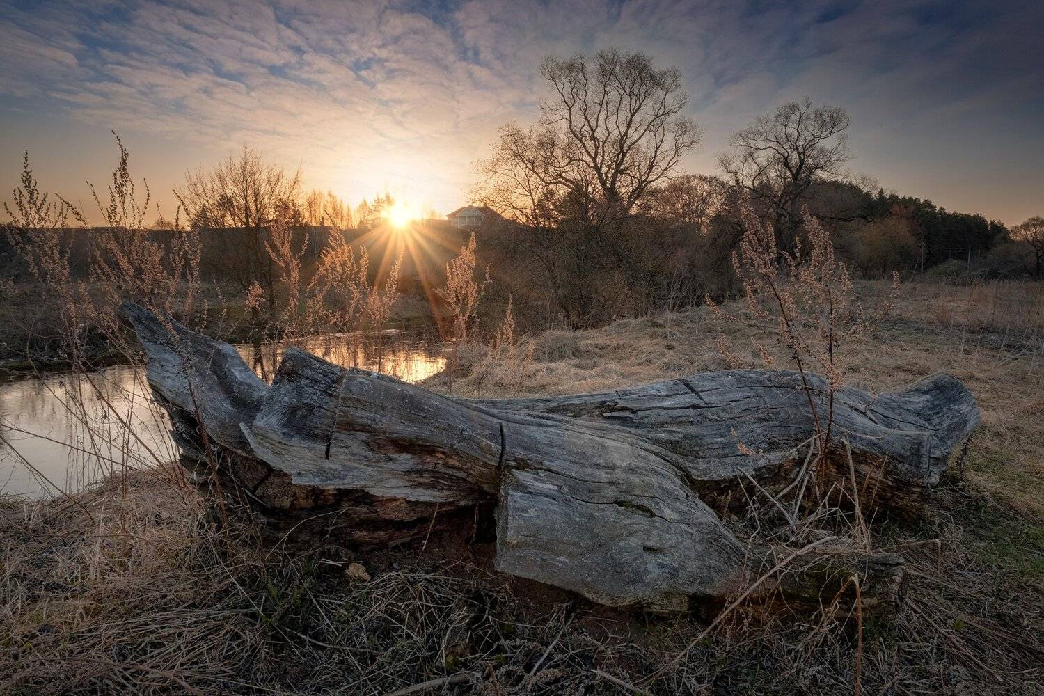река, истра, утро, коряга, деревья, рассвет, вода,, Андрей Чиж