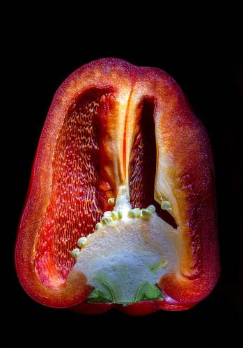 Перец в разрезе