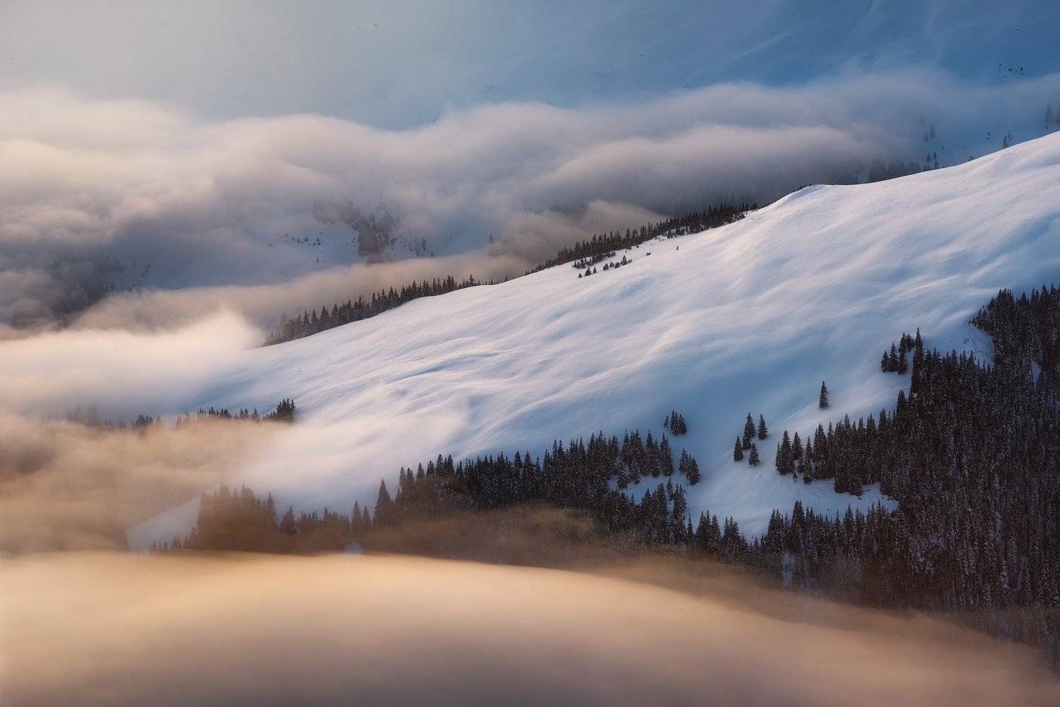 , Szabo Zsolt Andras