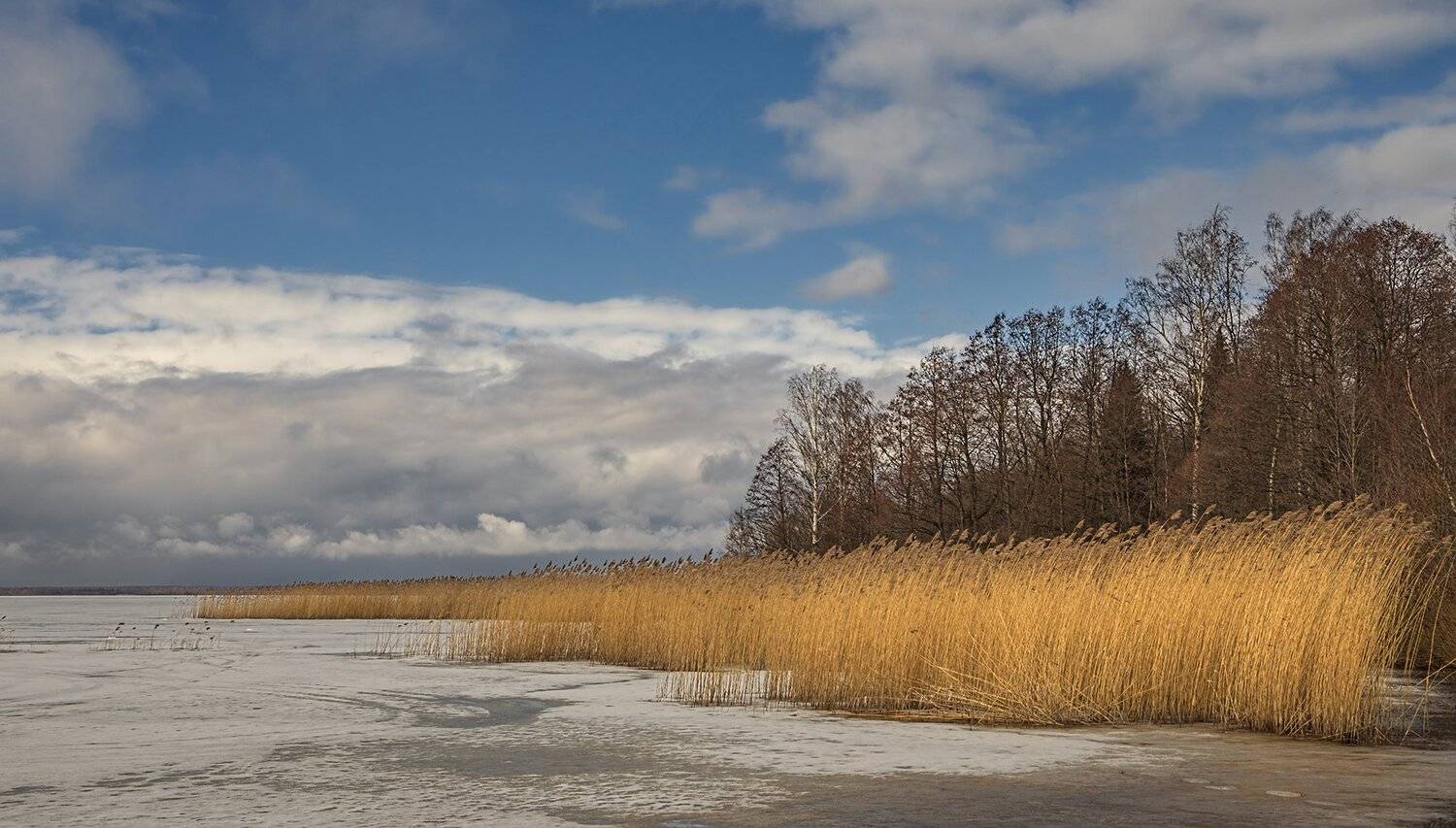 сестрорецк,разлив, alexOmRam