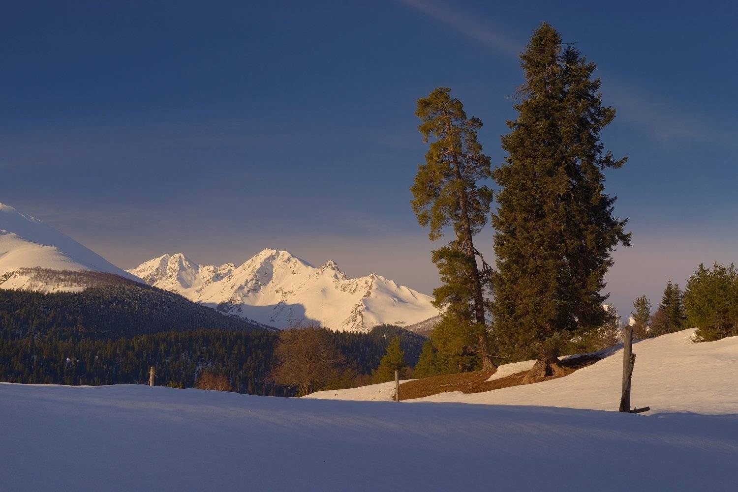 весна горы лес утро, Александр Жарников