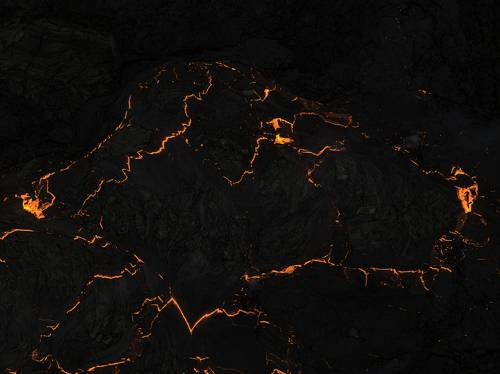 Огненный Питбуль