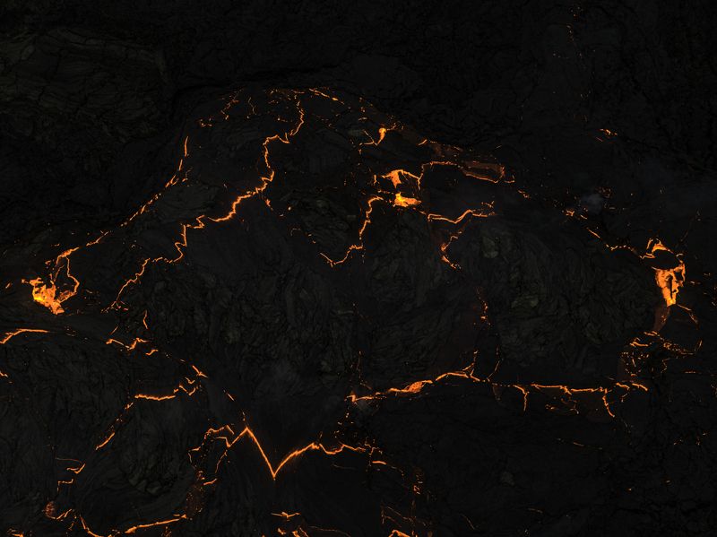 Огненный Питбуль фото превью