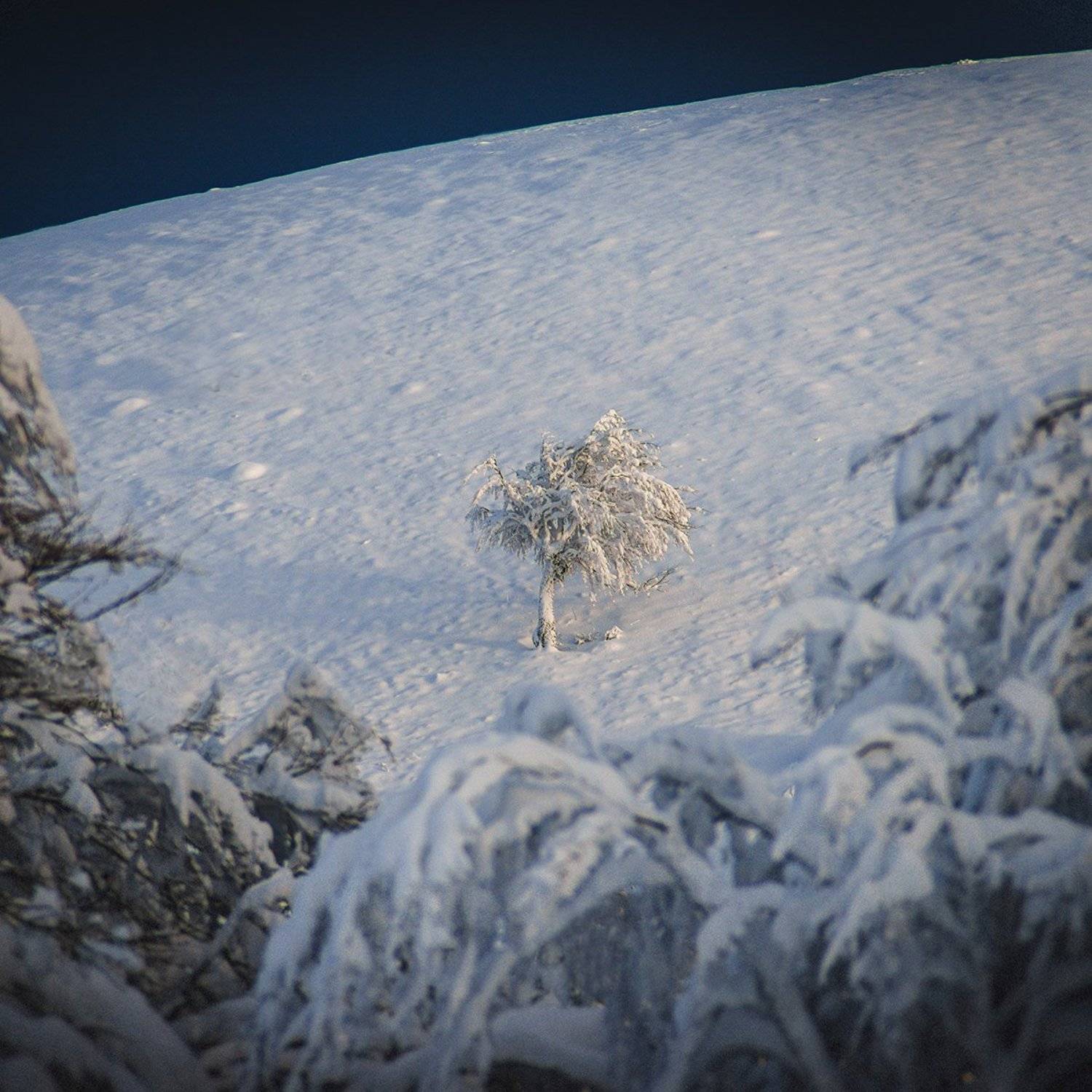 крым, Юрий Коваленко