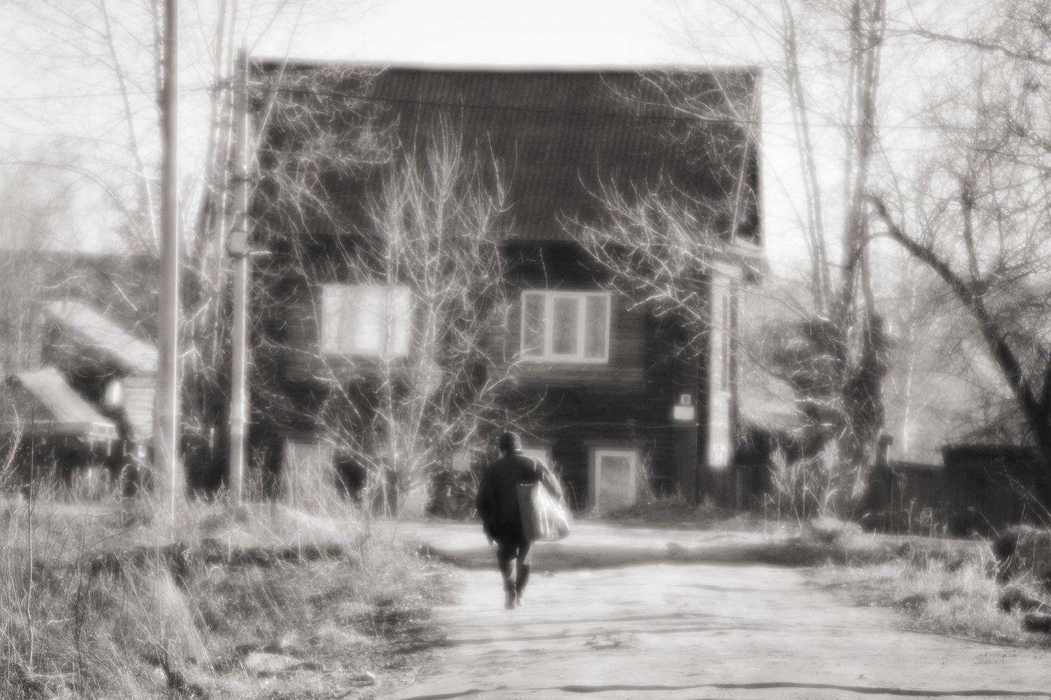 , Лариса Лофицкая