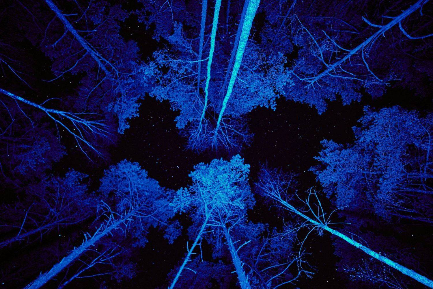 , Александр Фанковин