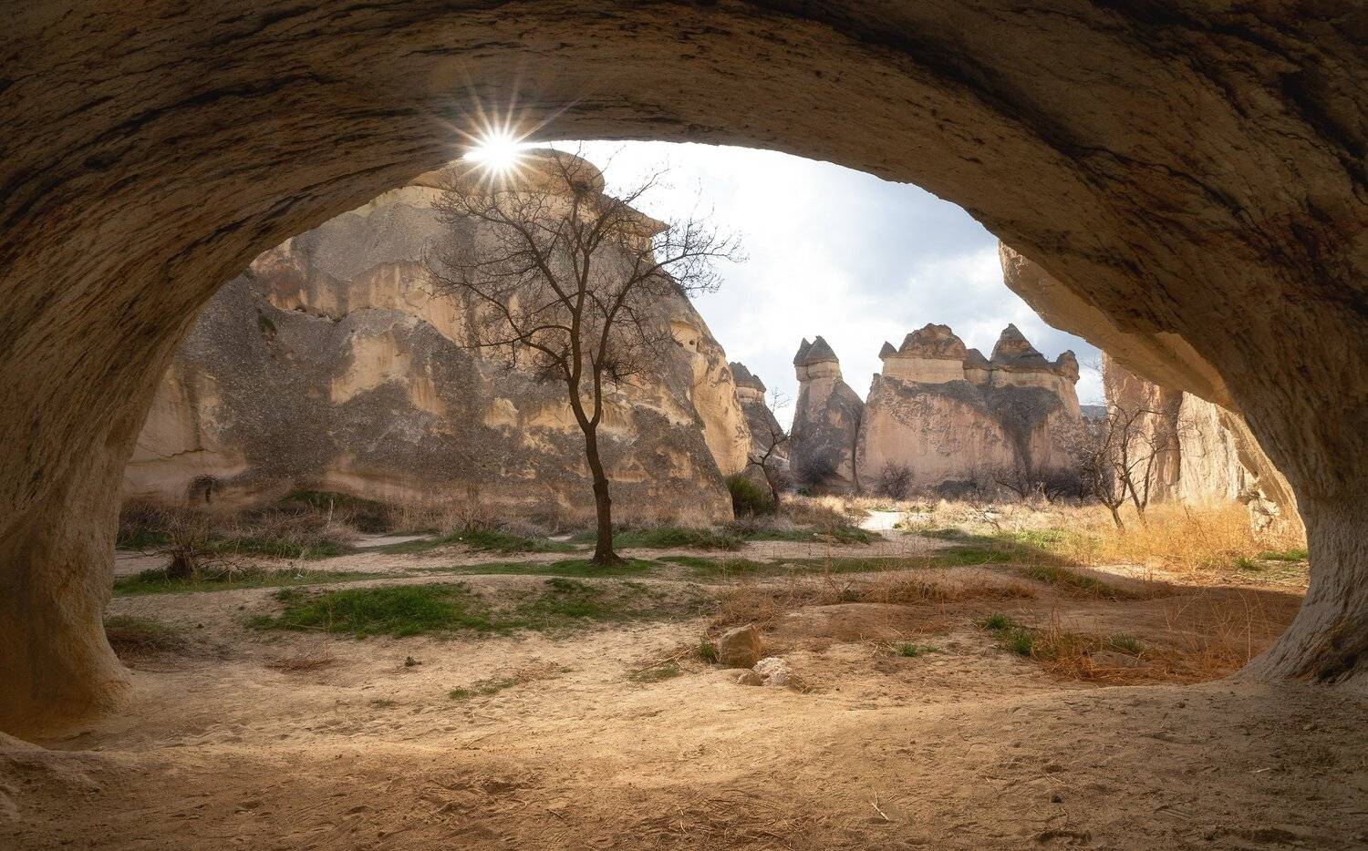 , Алексей Козаченко