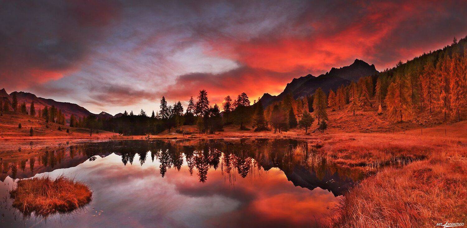 swiss, Матвеев Николай