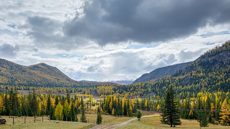 пейзаж, горы, осень, Горный Алтай Про Горный Алтай  фото превью