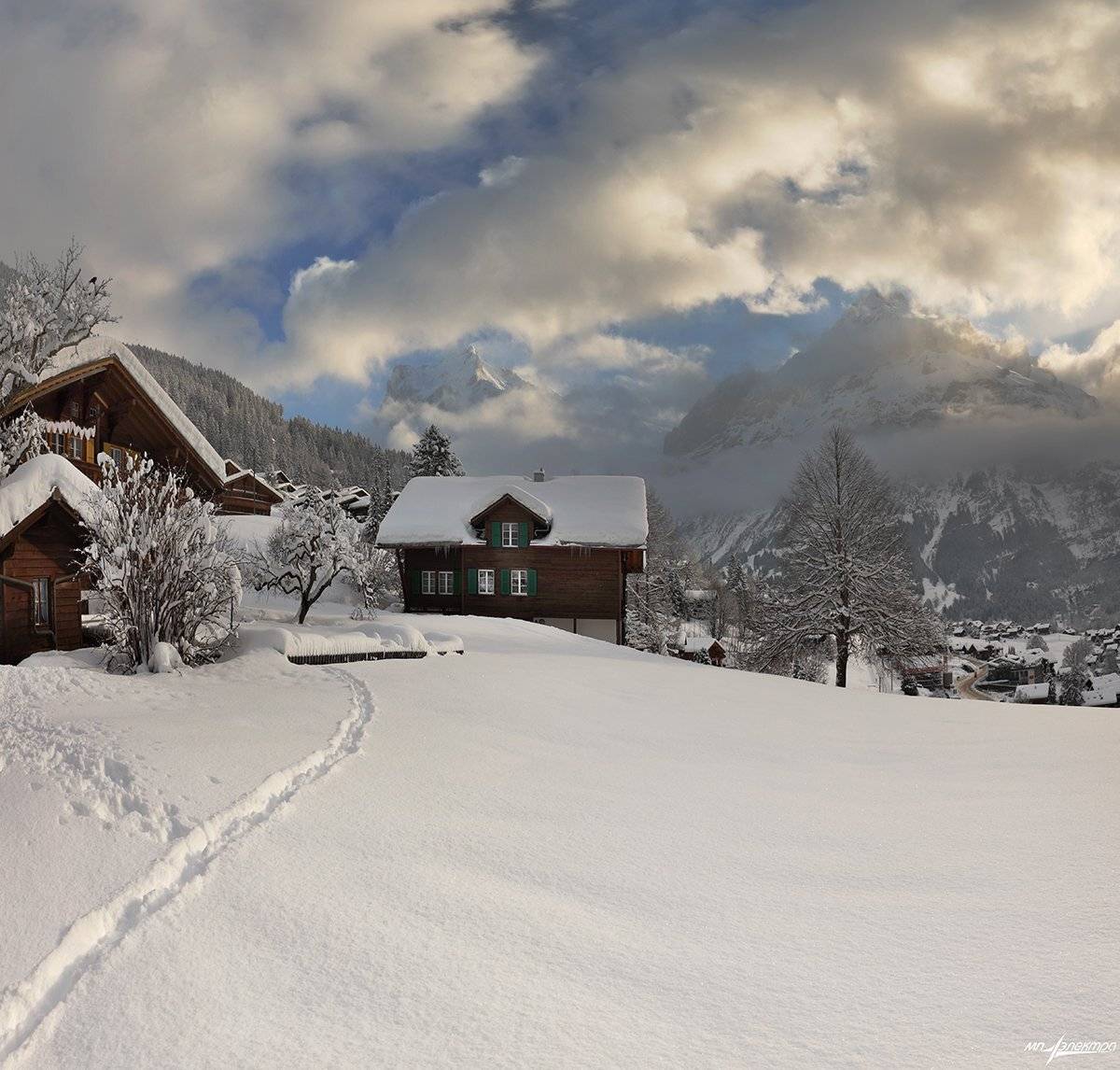 swiss, Матвеев Николай