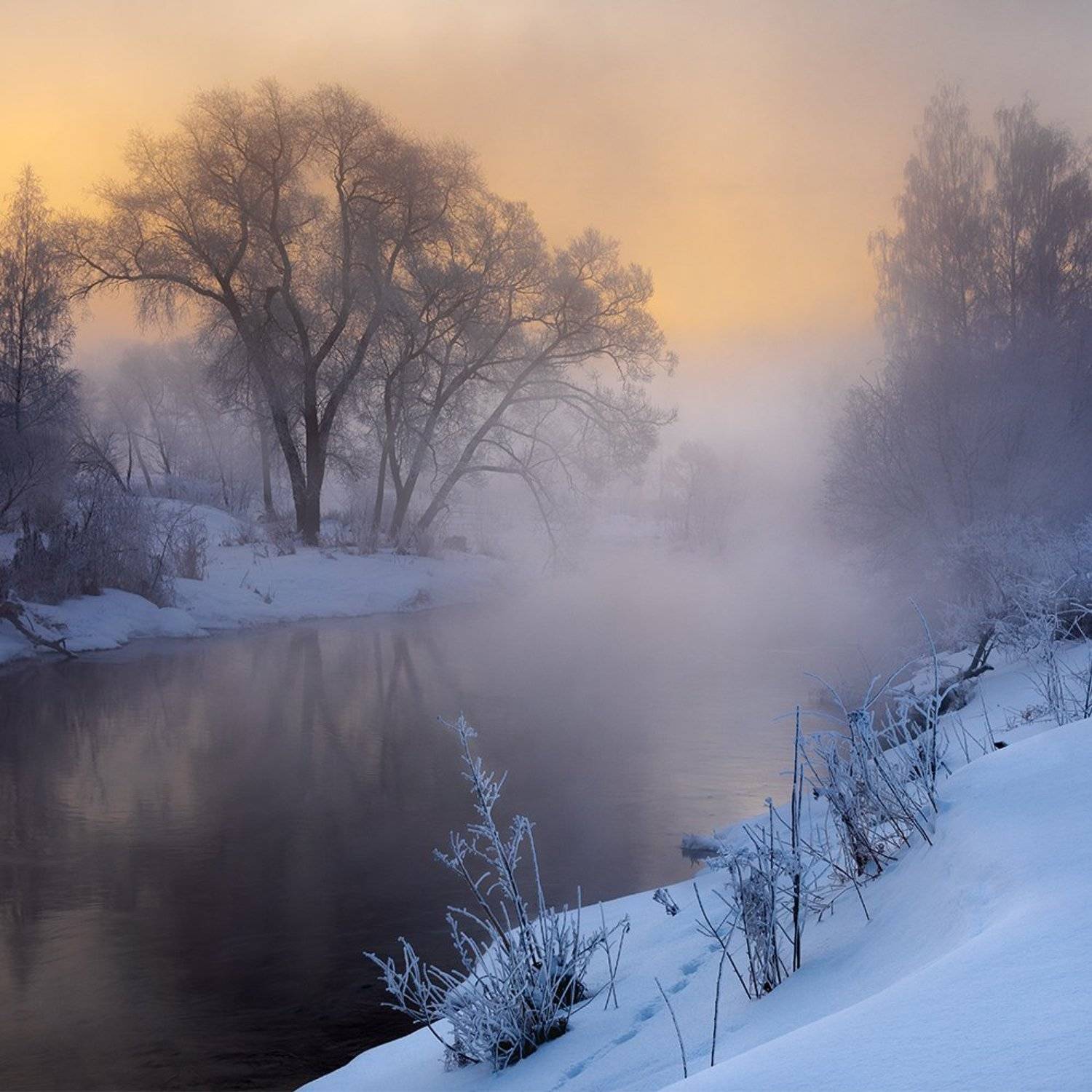 , Дмитрий Асеев